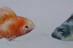 Deux poissons