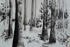 Forêt noir et blanc