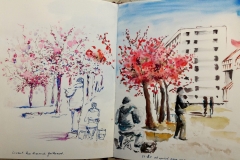 La rue Armand Guillemot, avec les cerisiers croqueurs et les copains en fleurs
