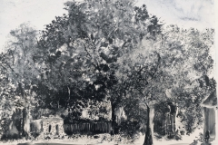 Dans le parc du Manoir de Kerletu  "Les Cotonnades"