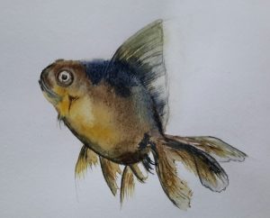 Un poisson