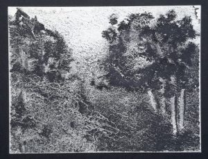 Paysage Noir et Blanc